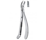 Extracting Forceps